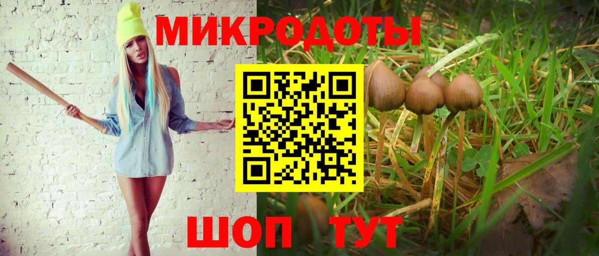 Галлюциногенные грибы Magic Shrooms  Вход с VPN  Псилоцибиновые грибы Psilocybe  Нижнекамск 
